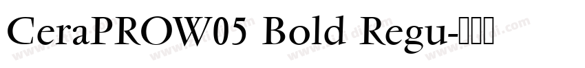 CeraPROW05 Bold Regu字体转换